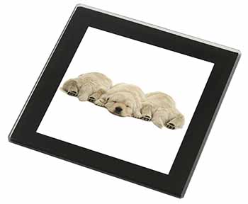 Golden Retriever Puppies Black Rim High Quality Glass Coaster