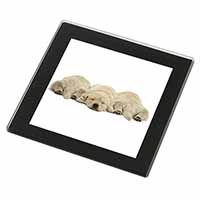 Golden Retriever Puppies Black Rim High Quality Glass Coaster