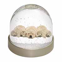 Golden Retriever Puppies Snow Globe Photo Waterball