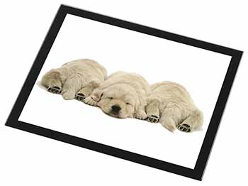 Golden Retriever Puppies Black Rim High Quality Glass Placemat