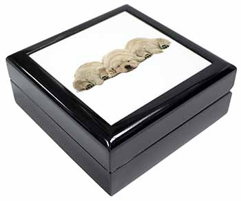 Golden Retriever Puppies Keepsake/Jewellery Box