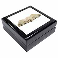 Golden Retriever Puppies Keepsake/Jewellery Box