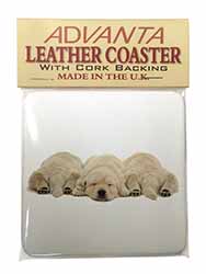 Golden Retriever Puppies Single Leather Photo Coaster