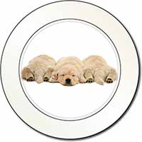 Golden Retriever Puppies Car or Van Permit Holder/Tax Disc Holder