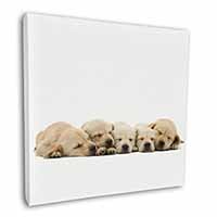 Five Golden Retriever Puppy Dogs Square Canvas 12"x12" Wall Art Picture Print