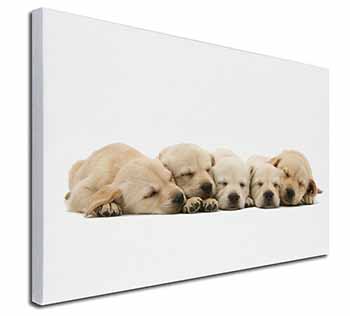 Five Golden Retriever Puppy Dogs Canvas X-Large 30"x20" Wall Art Print