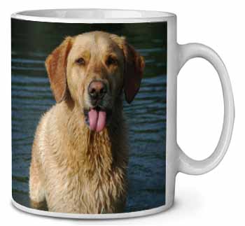 Golden Retriever in Water Ceramic 10oz Coffee Mug/Tea Cup