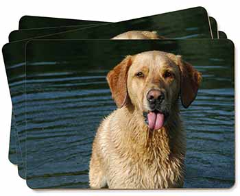 Golden Retriever in Water Picture Placemats in Gift Box