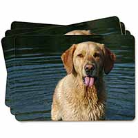 Golden Retriever in Water Picture Placemats in Gift Box