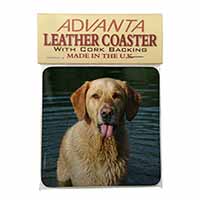 Golden Retriever in Water Single Leather Photo Coaster