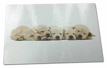 Large Glass Cutting Chopping Board Five Golden Retriever Puppy Dogs