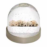 Five Golden Retriever Puppy Dogs Snow Globe Photo Waterball