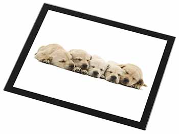 Five Golden Retriever Puppy Dogs Black Rim High Quality Glass Placemat
