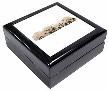 Five Golden Retriever Puppy Dogs Keepsake/Jewellery Box