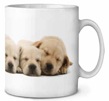 Five Golden Retriever Puppy Dogs Ceramic 10oz Coffee Mug/Tea Cup