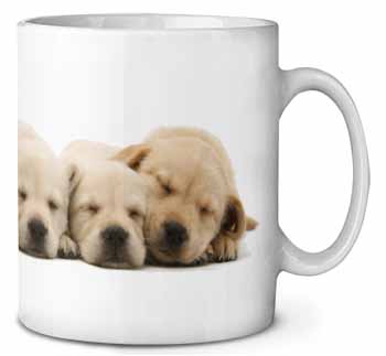 Five Golden Retriever Puppy Dogs Ceramic Coffee Mug/Tea Cup