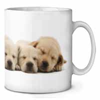 Five Golden Retriever Puppy Dogs Ceramic 10oz Coffee Mug/Tea Cup