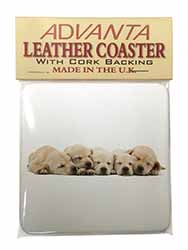 Five Golden Retriever Puppy Dogs Single Leather Photo Coaster