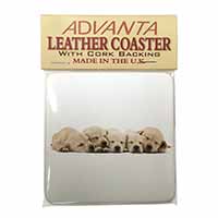 Five Golden Retriever Puppy Dogs Single Leather Photo Coaster