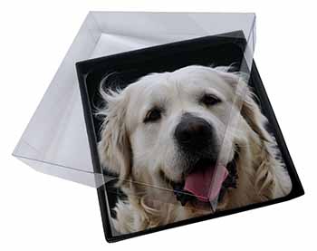 4x Golden Retriever Picture Table Coasters Set in Gift Box