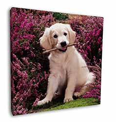 Golden Retriever Puppy Square Canvas 12"x12" Wall Art Picture Print