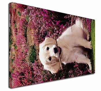 Golden Retriever Puppy Canvas X-Large 30"x20" Wall Art Print
