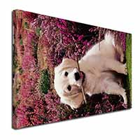 Golden Retriever Puppy Canvas X-Large 30"x20" Wall Art Print