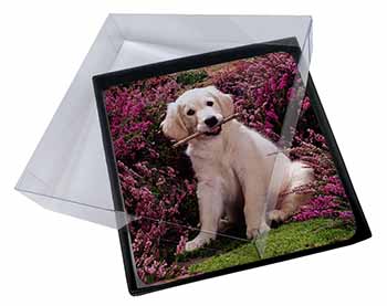 4x Golden Retriever Puppy Picture Table Coasters Set in Gift Box