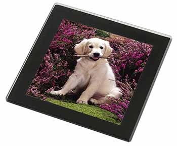 Golden Retriever Puppy Black Rim High Quality Glass Coaster