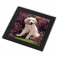 Golden Retriever Puppy Black Rim High Quality Glass Coaster