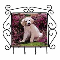 Golden Retriever Puppy Wrought Iron Key Holder Hooks