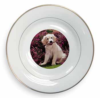 Golden Retriever Puppy Gold Rim Plate Printed Full Colour in Gift Box