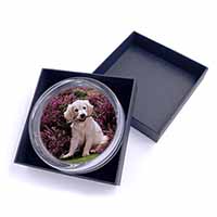 Golden Retriever Puppy Glass Paperweight in Gift Box