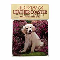 Golden Retriever Puppy Single Leather Photo Coaster