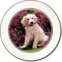 Golden Retriever Puppy Car or Van Permit Holder/Tax Disc Holder