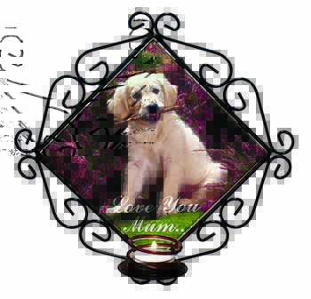 Golden Retriever Puppy 