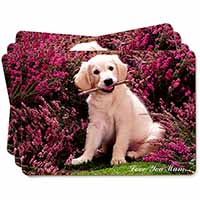 Golden Retriever Puppy 