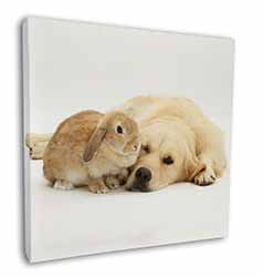 Golden Retriever and Rabbit Square Canvas 12"x12" Wall Art Picture Print