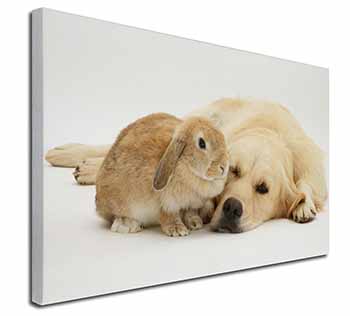 Golden Retriever and Rabbit Canvas X-Large 30"x20" Wall Art Print