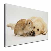 Golden Retriever and Rabbit Canvas X-Large 30"x20" Wall Art Print