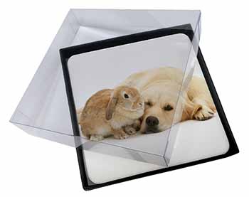4x Golden Retriever and Rabbit Picture Table Coasters Set in Gift Box