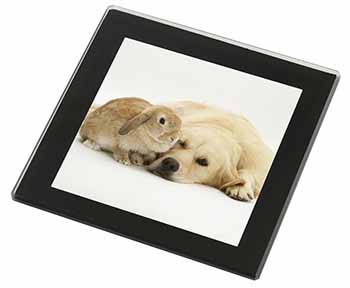 Golden Retriever and Rabbit Black Rim High Quality Glass Coaster