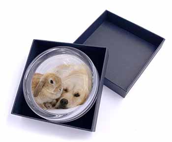 Golden Retriever and Rabbit Glass Paperweight in Gift Box