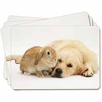 Golden Retriever and Rabbit Picture Placemats in Gift Box