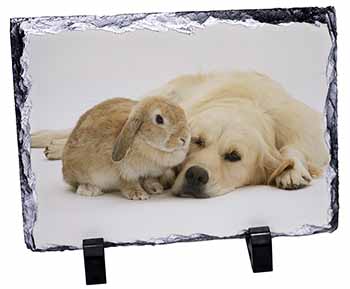 Golden Retriever and Rabbit, Stunning Photo Slate