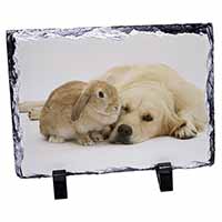 Golden Retriever and Rabbit, Stunning Photo Slate