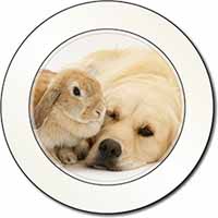 Golden Retriever and Rabbit Car or Van Permit Holder/Tax Disc Holder