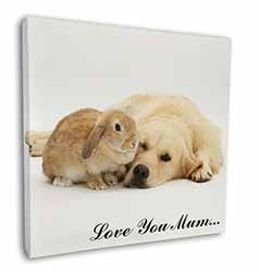 Goldie and Rabbit 