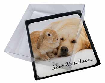4x Goldie and Rabbit 