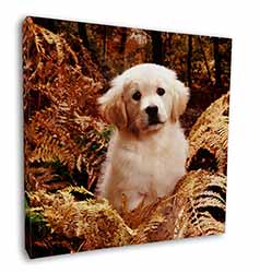 Golden Retriever Puppy Square Canvas 12"x12" Wall Art Picture Print